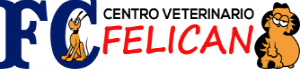 logo felican